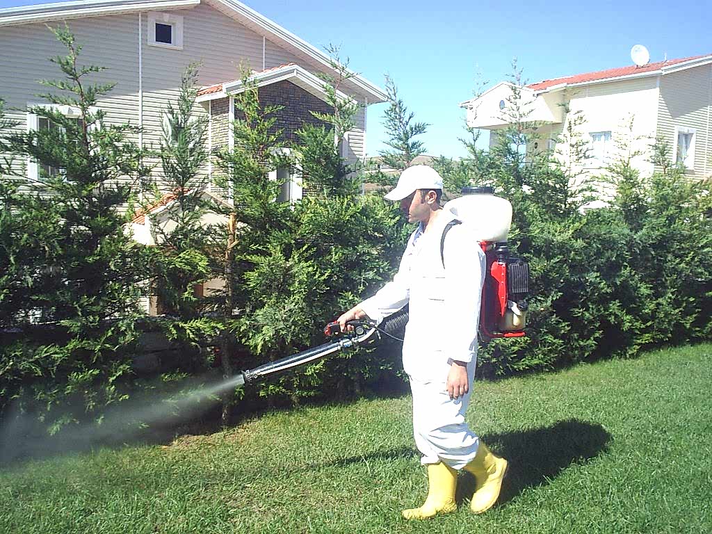 En Sık Yapılan Hatalar